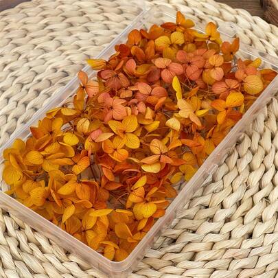 1盒高品质多色干绣球花 - 非常适合DIY工艺品、蜡烛、婚礼装饰