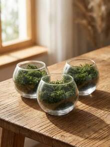 1Pc/3Pcs Moss Vase, Wabi-Sabi Glass Vase With Preserved Moss For Meditation Nooks, Gallery Installations, Relaxation Spaces. Great For Combining With Natural Stone Accents To Balance A Space, Styling A Minimalist Yoga Studio, Or Adding Warmth To A Sunlit Reading Corner, And Suitable For Wellness Centers, Art Exhibitions, And Bohemian-Style Homes. - Multicolor - View 14