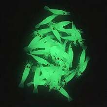 20pcs/50pcs/100pcs Fishing Soft Bait, Artificial Glow-In-The-Dark Shrimp Lure, Ice Fishing Accessories, Suitable For Bass, Striped Bass, Trout, Whitefish Night Fishing - Clear - View 1