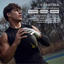 Bloom Nutrition High Purity Creatine Monohydrate Powder, Unflavored, Pre-Workout, High Performance | 90 Servings | 450g. - 600g - View 4