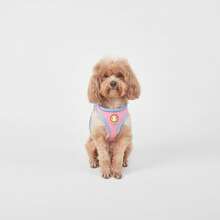 Bộ dây đeo cho chó Dopamine phối màu mới mùa xuân hè, dây đeo dễ thương cho mèo và chó, áo vest lưới thoáng khí phản quang phù hợp cho chó nhỏ và vừa. - Màu xanh lam - Xem 6