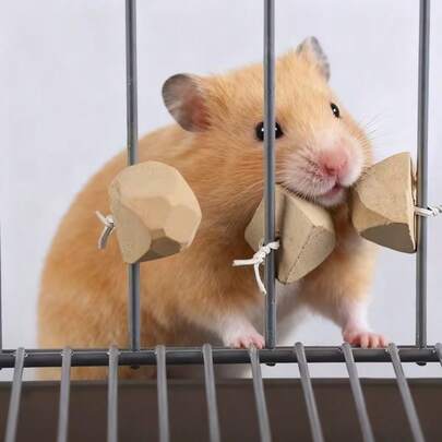 6/10 piezas Piedras para roer para hámsteres - Productos de cuidado dental para hámsteres, conejos, gerbos, ratones y otras mascotas pequeñas - Piedras para limpiar los dientes y roer, accesorios para jaula