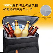 Cooler Bags - Negro - Ver 10
