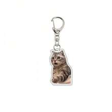 1 peça/4 peças Chaveiro de Estimação Pingente Acrílico de Foto de Gato Acessório para Mochila Escolar - Multicolorido - Visão 2