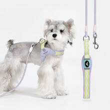 360° Swivel Reflective Dog Leash, Durable & Soft Rope Leash With Handle, Suitable For Small & Medium Dogs - Multicolor - View 2