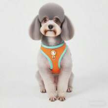 Spring & Summer New Dopamine Color Block Dog Harness, Cute Cat & Dog Leash Harness, Reflective Breathable Mesh Vest Harness Suitable For Small & Medium Dogs - Green - View 5