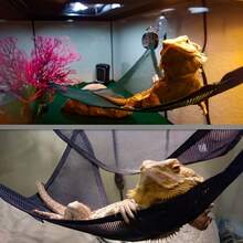 2pcs Bearded Dragon & Gecko Hammock - Breathable Mesh, Removable, Suitable For Large & Small Lizards And Snakes, Anole Lizard, Reptile Hammock - Multicolor - View 1