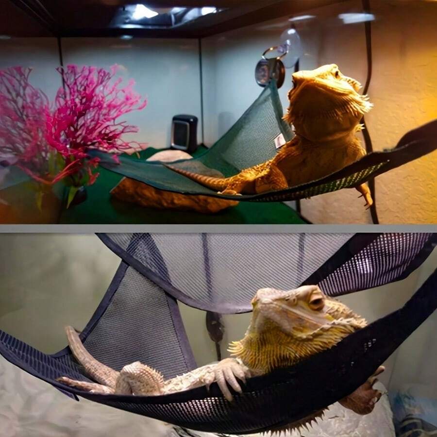 2pcs Bearded Dragon & Gecko Hammock - Breathable Mesh, Removable, Suitable For Large & Small Lizards And Snakes, Anole Lizard, Reptile Hammock - Multicolor - View 1