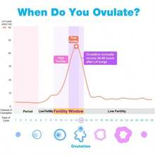 Kit de predictor de prueba de ovulacion: prueba de filidad precisa para mujeres anco de 5 mm tiras de prueba de filidad 50 tiras de L - como en la foto - Ver 5