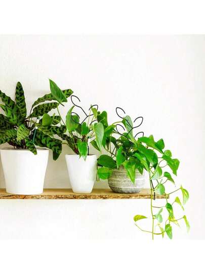 2pcs Outdoor Plant Climbing Rack, Potted Plant Support, Creative Floral Support Frame, Vine Support, Plant & Flower Support