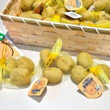 创意土豆造型文具礼盒套装（1件），逼真橡皮擦，小学生礼物，高颜值趣味学习用品，返校/生日惊喜套装 - 完美礼物 - 生日礼物 - 男孩礼物 - 女孩礼物 - 复活节礼物 - 情人节礼物 - 彩色 - 查看 6