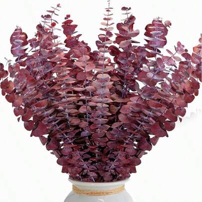5/10/15/20/30 piezas de Ramas de Eucalipto Preservadas, Decoración Floral DIY, Decoración para Bodas, Aniversarios y Hogar
