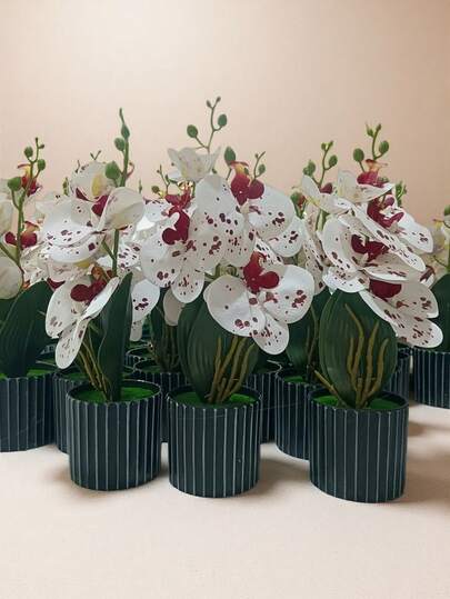 1 件人造蝴蝶兰盆栽植物，情人节礼物