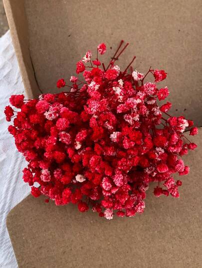 50/100/300pcs Natural Preserved Baby's Breath Flowers - Elegant Everlasting Baby's Breath, Suitable For Home, Office, Wedding, Christmas, Halloween Party, Crafts Maintenance-Free, Suitable For 14+ Years Old (No Paper Card)
