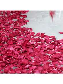 50/150/300/600/3000pcs Natural Dried Rose Petals: Wedding Confetti - Red - View 3