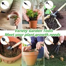6件套铁制园艺工具套装，包括手铲、移植铲和带防滑木柄的手耙，是植物爱好者的理想之选。 - 六件套 - 查看 4