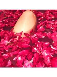 50/150/300/600/3000pcs Natural Dried Rose Petals: Wedding Confetti - Red - View 6