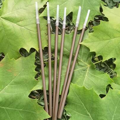 6pcs/Set Wolf Hair Calligraphy Brush, Suitable For Painting Practice, Small Brush For Drawing Lines And DIY Painting