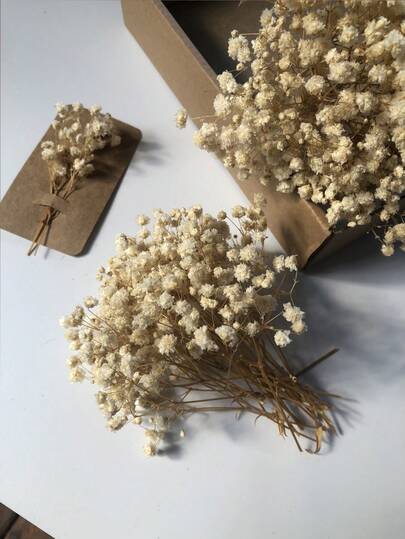 50/100/300pcs Natural Preserved Baby's Breath Flowers - Elegant Everlasting Baby's Breath, Suitable For Home, Office, Wedding, Christmas, Halloween Party, Crafts - , Maintenance-Free, Suitable For Ages 14+ (No Paper Card)