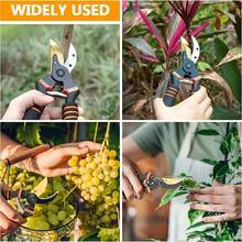 8.5英寸专业钛合金旁路修枝剪 (T13) - 超锋利优质园艺剪刀，手持式花园绿篱修剪器 - 重型园艺工具 - 鷹嘴 - 查看 8
