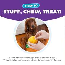 Outward Hound Dental Pineapple Dog Toy &Amp; Treat Stuffer, 6.8\U2033 X 3.3\U2033 Pineapple-Scent Interactive Chew For Dogs, Promote Healthy Teeth, Gums &Amp; Mental Enrichment, Reduce Boredom &Amp; Support Dental Health - ColorE - 查看 3