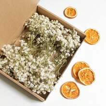 HOSY 50 Pcs Pure White Artificial Mini Baby's Breath Flowers, Delicate Faux Gypsophila For DIY Craft Projects, Perfect For Wedding, Home, Office, Party And Garden Decor, Boho Style Tabletop & Wreath Decorations, Featherless & No Electricity Needed, Ideal For Christmas, Thanksgiving, Halloween And All Holiday Home Decor & Christmas Gifts - 綠色和白色 - 查看 11