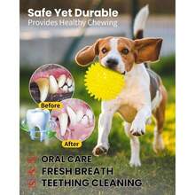 会发出吱吱声的狗狗球，带尖刺的漂浮狗狗磨牙玩具，耐用结实的磨牙球玩具，适合大、中、小型犬和幼犬，互动狗狗球 - 彩色 - 查看 3