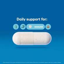 Advanced Probiotic Supplement With 60 Billion CFU And 10 Unique Strains For Optimal Digestive And Gut Health Support, Includes Organic Prebiotics To Enhance Good Bacteria Growth, Acid-Resistant Capsules Ensure Maximum Survival, 30 Veggie Capsules For Daily Use By Adults. - 3 pcs - 查看 5