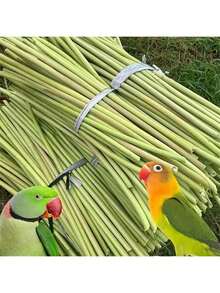 Papaya Stem Bird Chewing Toy, Bird Nibbling Playtime Boredom Relief Toy, Bird Chew Stick - Multicolor - View 12