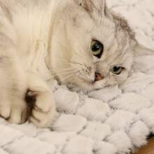 Pet Pad, Warm Cat Bed Pad, Removable Nest Pad, Snowflake Fleece Self-Heating Dog Bed, Dirt-Resistant Anti-Slip Dog Mat, Warm Cat Pad - Grey - View 5