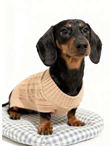 1 Áo len cho chó Dachshund, Áo len dài cho chó, Quần áo cho thú cưng, Áo len trơn màu kiểu Anh cho thú cưng, Áo len dài cho thú cưng, Thiết kế tối giản, Phong cách cặp đôi/bạn thân, Thích hợp cho chó Poodle, chó săn Basset, chó Dachshund, chó săn thỏ, chó Corgi, chó dài, mèo - Màu Đỏ Sâu - Xem 20