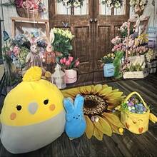 时尚黑白圆形地毯，简约设计，适用于客厅和卧室，加厚防滑地毯，柔软旋转椅垫，Plush Earth - 彩色 - 查看 4