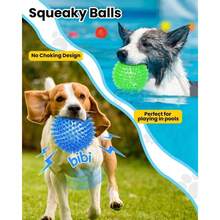 会发出吱吱声的狗狗球，带尖刺的漂浮狗狗磨牙玩具，耐用结实的磨牙球玩具，适合大、中、小型犬和幼犬，互动狗狗球 - 彩色 - 查看 2