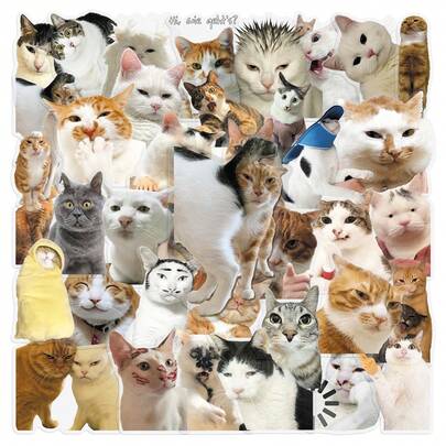 50张透明趣味逼真猫咪动物表情包卡通美学涂鸦贴纸，可用于DIY手册、滑板、吉他、水杯等，自粘节日装饰贴纸