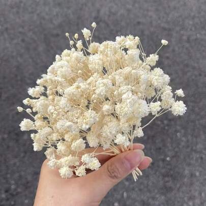 25/50/100/300pcs Mini Gypsophila & Other Dried Flowers - For Resin Mold Art & Crafts, Ivory White Bouquet For Hair Accessories, Wedding Wreaths, Table Decor, Home Decoration