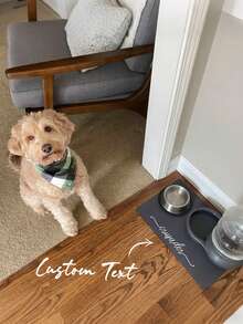 Customizable Pet Feeding Mat (1pc) - Quick-Absorbing, Personalized Name Customization. Suitable For Cats And Dogs, Featuring Non-Slip Rubber Base And Minimalist Design Style. Perfect Gift For Pet Owners. - Multicolor - View 5