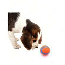 1/3pcs Interactive Bouncy Dog Ball - Durable Teeth-Cleaning Chew Toy For Training & Play, Water-Floating High-Bounce Ball, Vibrant Orange & Blue Pet Supplies - Blue and White - View 4