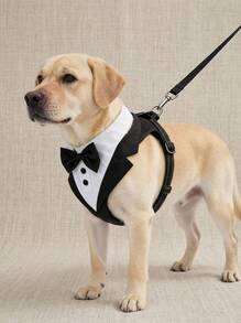 PETSIN Pet Dog Suit, Tie, Tie Set, Suitable For Small And Medium Dogs, Formal Occasions - Black and White - View 1