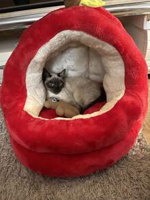 苹果形加厚柔软保暖宠物床，带垫子，宽敞的猫狗屋，红色 - 紅色 - 查看 3