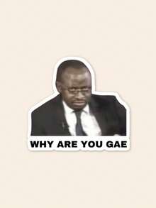 "WHY ARE YOU GAE" Funny Meme Sticker - Viral Internet Culture Decal, Sarcastic Quote Graphic For Laptop, Kindle & Phone Case, Waterproof Vinyl - Multicolor - View 1