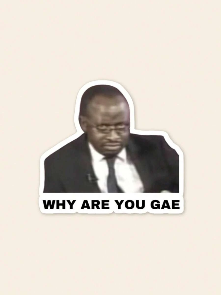 "WHY ARE YOU GAE" Funny Meme Sticker - Viral Internet Culture Decal, Sarcastic Quote Graphic For Laptop, Kindle & Phone Case, Waterproof Vinyl - Multicolor - View 1