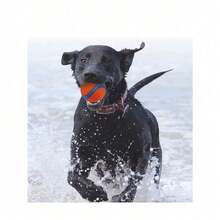 1/3pcs Interactive Bouncy Dog Ball - Durable Teeth-Cleaning Chew Toy For Training & Play, Water-Floating High-Bounce Ball, Vibrant Orange & Blue Pet Supplies - Blue and White - View 3