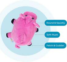 Outward Hound Fattiez Pig Plush Squeaky Dog Toy, Small - ColorC - 查看 3