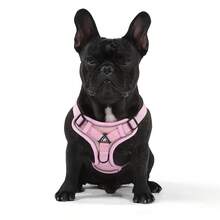 Soft Mesh Puppy And Leash Set, Escape Proof Cat , Adjustable Reflective Vest For Training Walks, Small/Medium Dogs & Cats - Multicolor - View 13