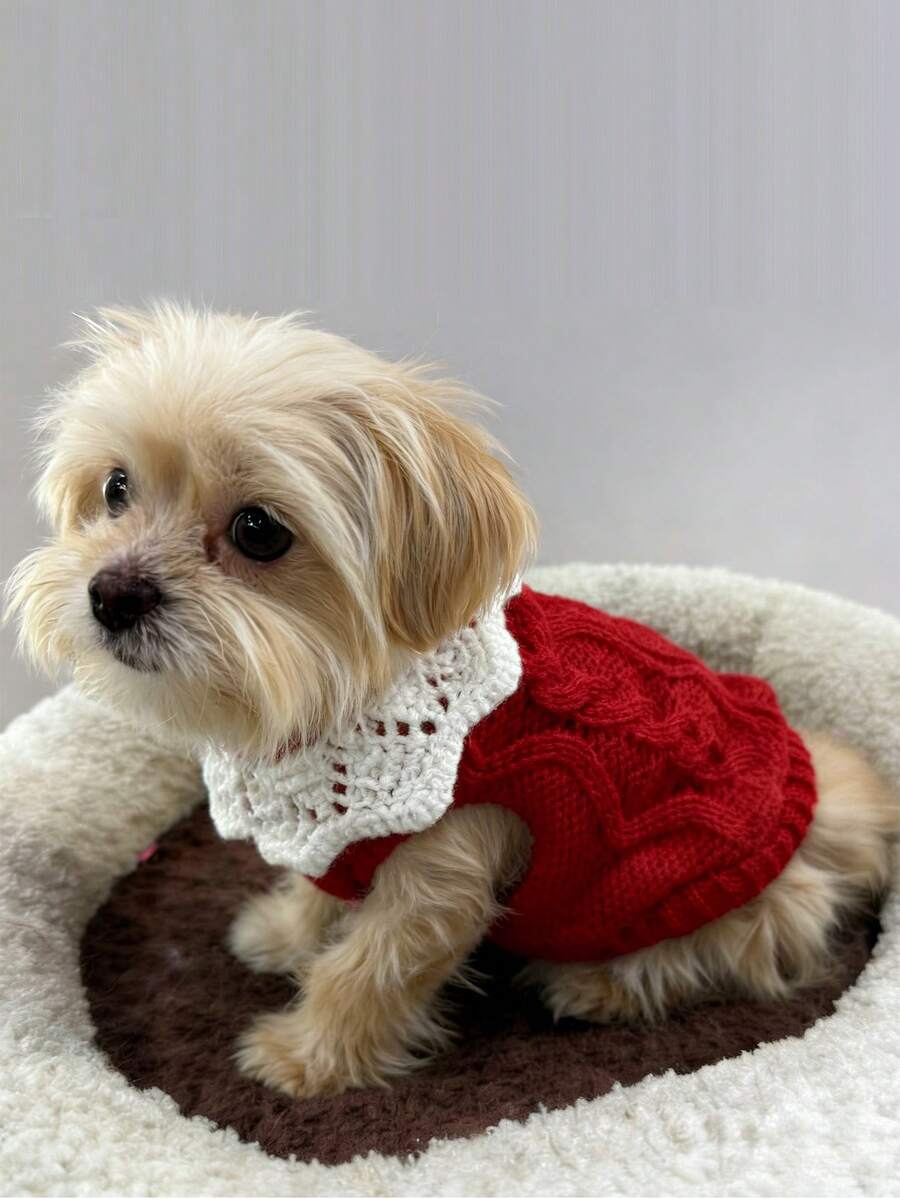 Contrast Collar Pet Sweater, Warm & Cute, Autumn/Winter - Red - View 1