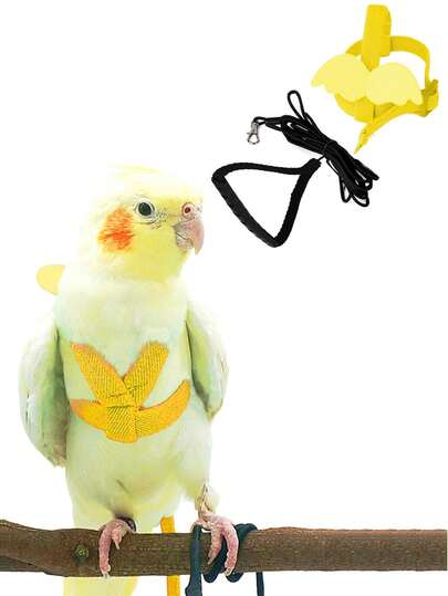 Universal Parrot Leash Suitable For Small And Medium Parrots, Non-Harmful To Feet, Escape-Proof, Anti-Lost, Outdoor Training Rope
