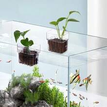 水族箱植物支架杯，壁挂式鱼缸水生植物种植杯，鱼缸装饰配件，易于安装，适用于水下和漂浮水生植物 - A - 查看 4