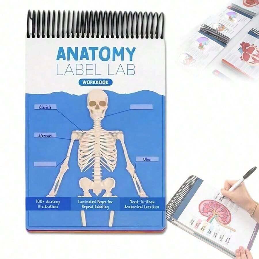 Anatomy Label Lab Workbook 100 Full Color Dry Erase Pages For Learning Human Anatomy Terms & Illustrations Multicolor Design Ideal For Students And Educators - 1 - View 1