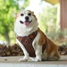 重型战术犬用胸背带套装，适用于大型犬，可调节防拉扯宠物胸带，反光训练易控犬用背心 - 棕色 - 查看 10