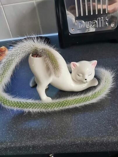 Maceta con forma de gato para plantas suculentas - Decoración única para el hogar y el jardín, adecuada para amantes de las plantas, adorable maceta interior, maceta con forma de animal de moda, regalo perfecto para entusiastas del jardín, presente decorativo y cálido para inauguración de casa